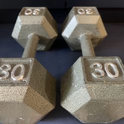 30 LBS Dumbbells