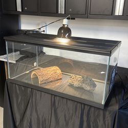 Reptile tank