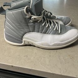 Air Jordan 12 “Stealth”