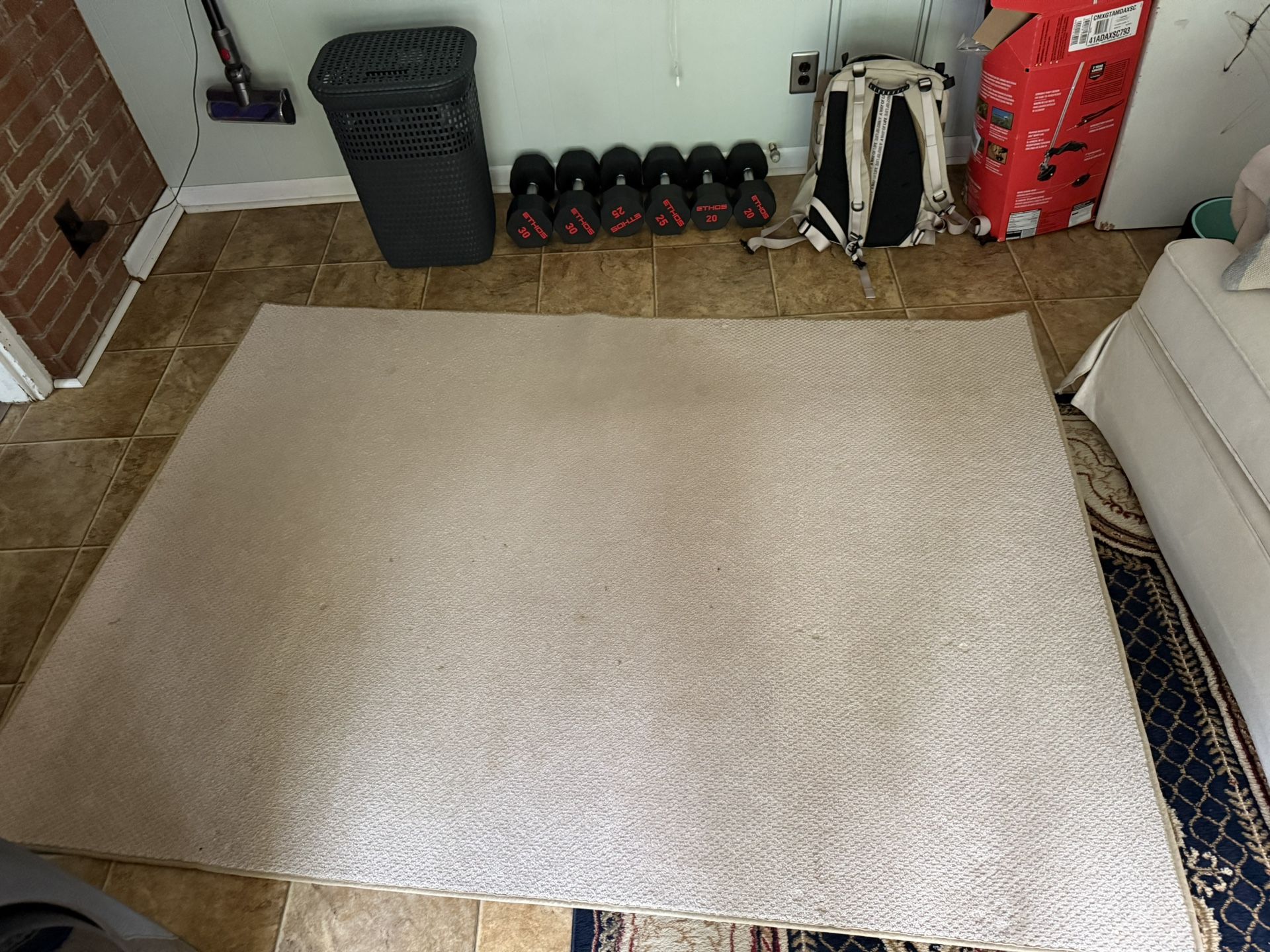 Rug - Free