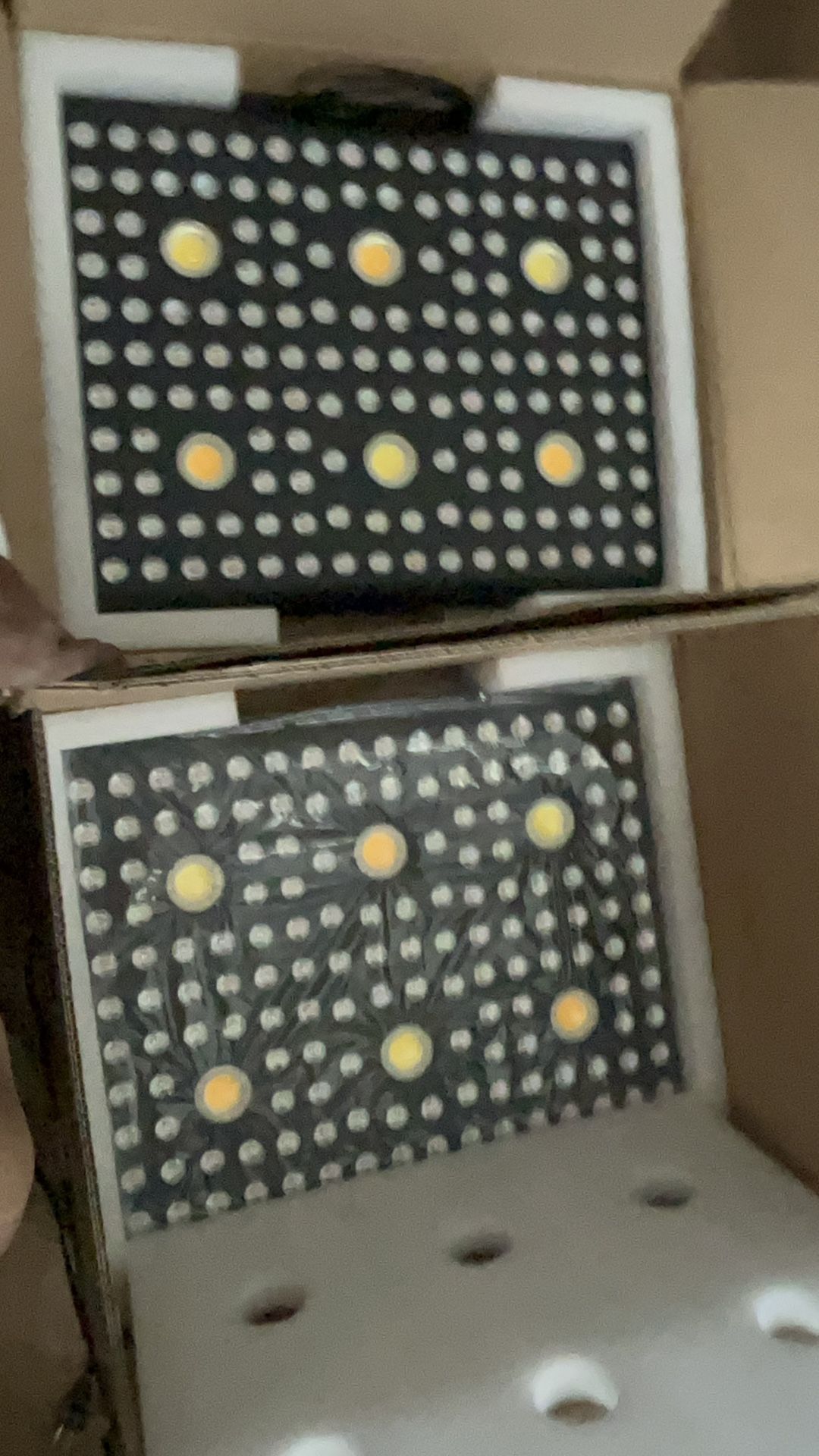 Aglex 3000 W C Series Cob Lights