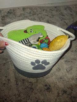 Pet Toys