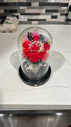 Infinite Roses