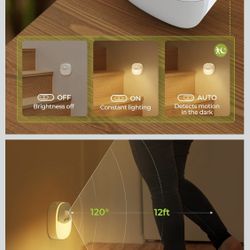 LED Night Lights