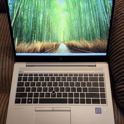 HP Elitebook Pro Laptop Intel Core i5-8530u 12 gb ram 256 gb ssd 1080p lcd Webcam usb c port Windows 11 Professional 