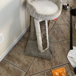 Cat Play Ground