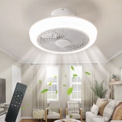 Ceiling Fan With Led Light