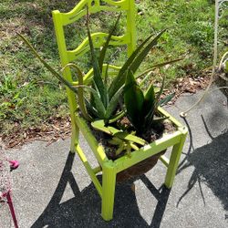 Succulent Chair 