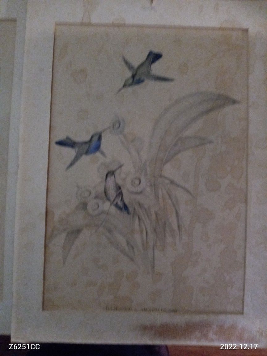 Antique Painting's