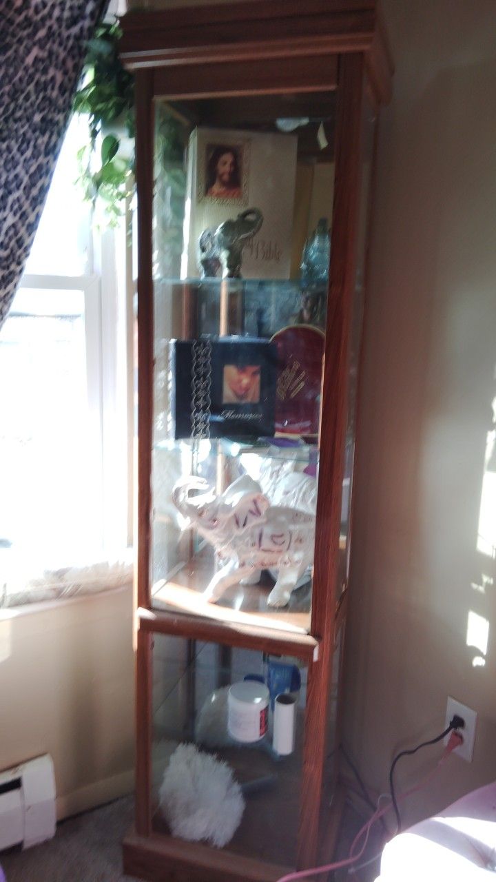 2 Glass Shelves Cabinet With Lights