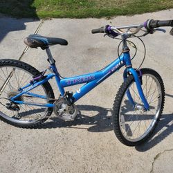 Bike Trek 220 Mountaintrack