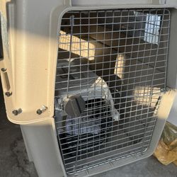 Big Dog Crate 