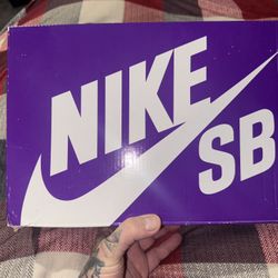 BNDS NIKE SB DUNK LOW BIG $ SAVINGS