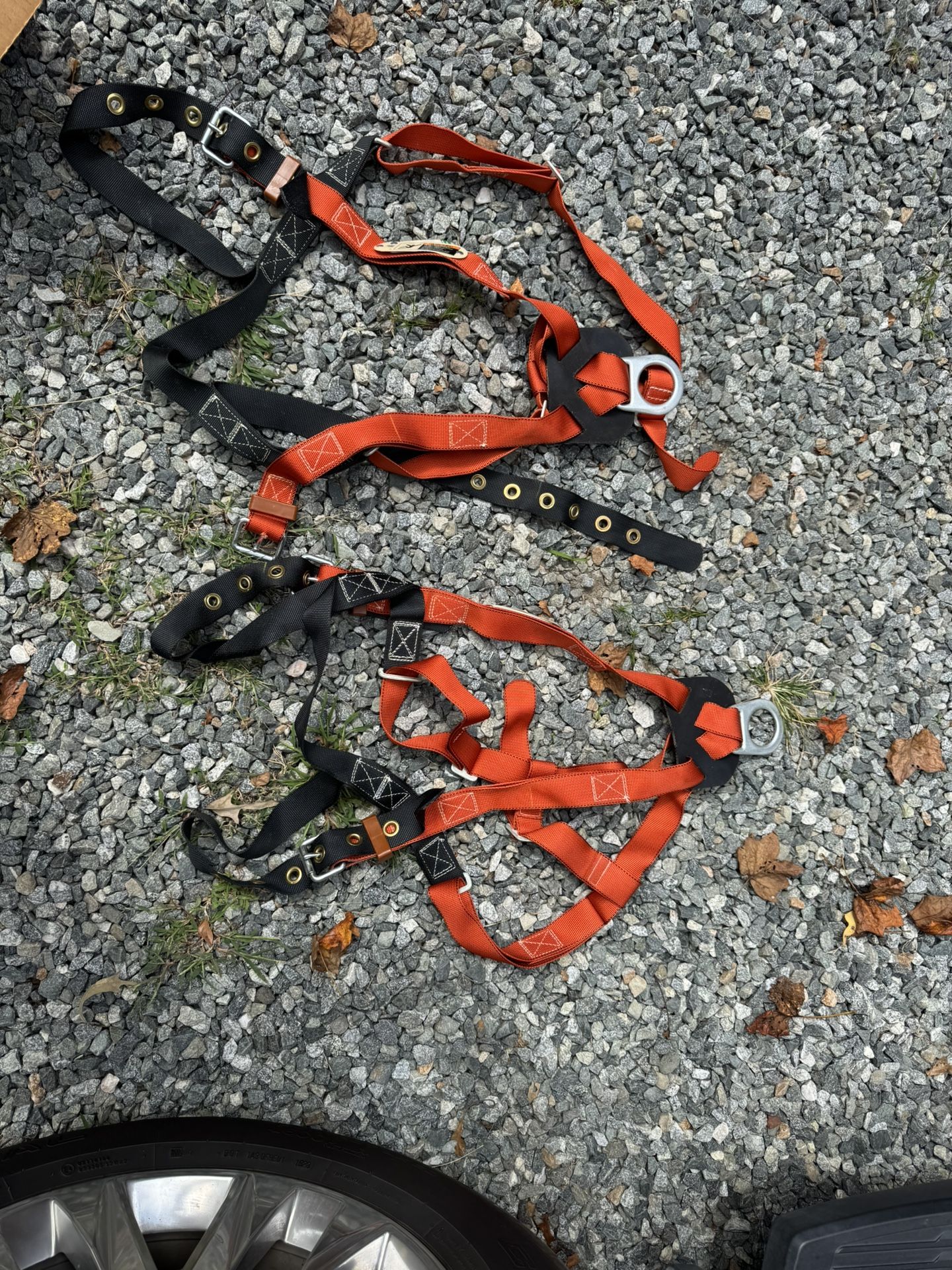 Safety Harness