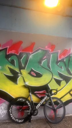 Unknown fixie (NEED GONE)