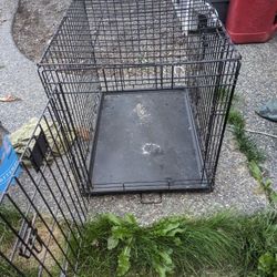 Dog Kennel 