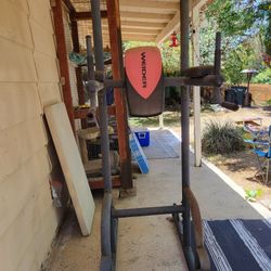 Weider Pull Up / Dip / Push Up / Ab Station
