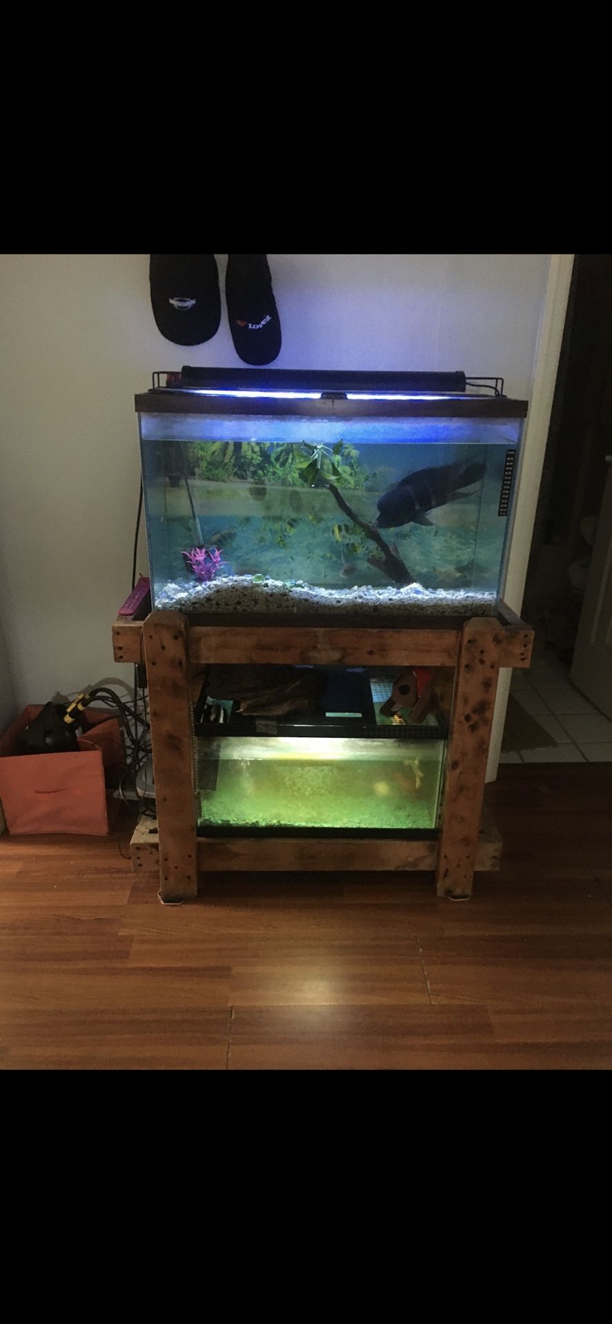 Fish Tank With Filter 