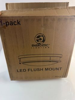 Energetic Lighting LED Flush Mount Light
