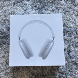 Air Pod Pro Max