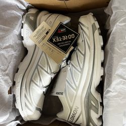 Salomon XT-6 GTX (White/Silver) 