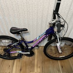 Schwinn Ranger Moutain Bike