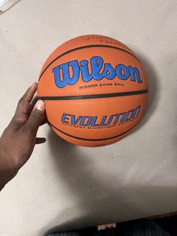 Wilson Evolution Basketball
