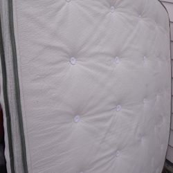 Avocado green Mattress and Foundation