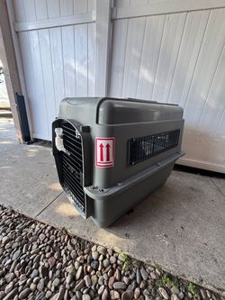 Pet kennel