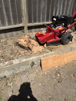 Tree Stump Grinding 