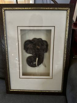 Elephant Shadowbox Wall Decor