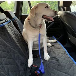 Dog car seat cover with seat belt