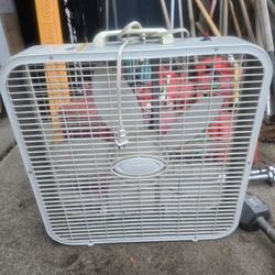 Fan 