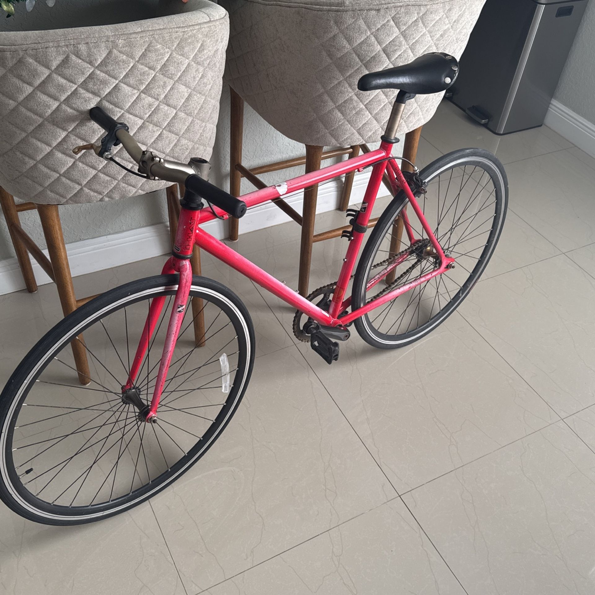 Single Speed Adult Bike