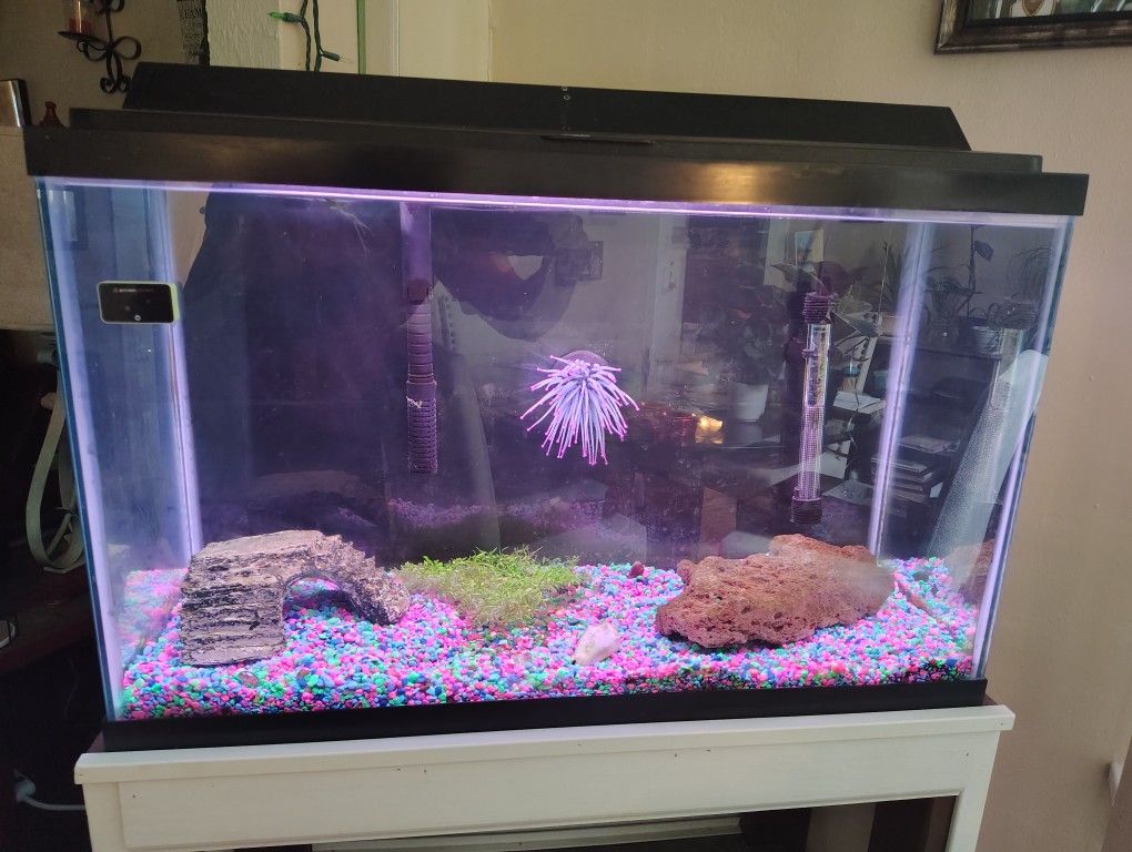 30 Gallon fish tank, etc (READ DESCRIPTIONS)