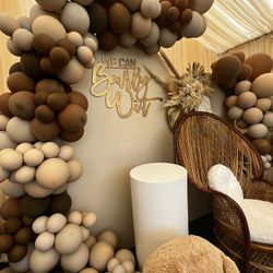 Bear Theme Gender Reveal Setup