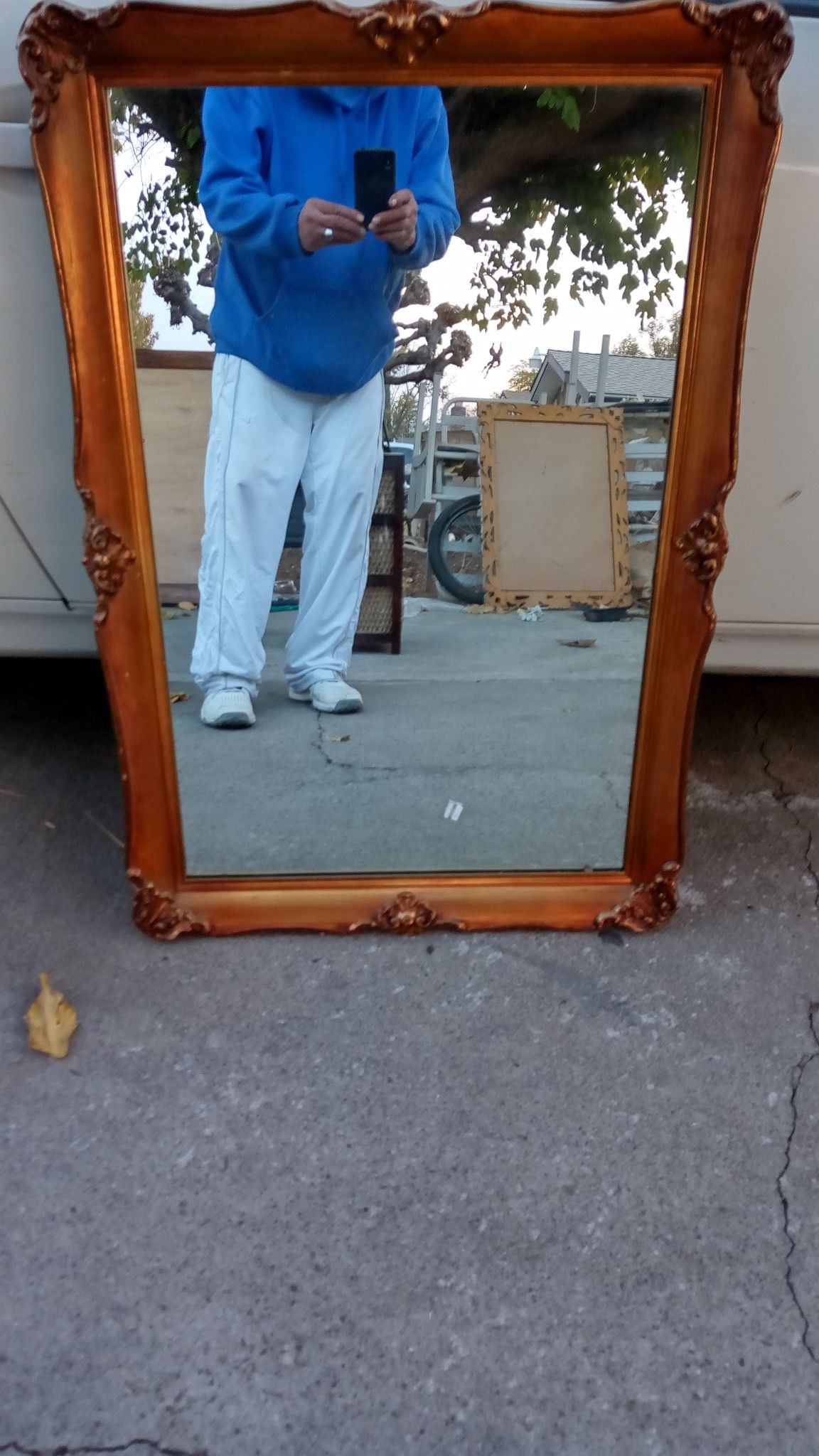 Ornate Gold Wall Mount Mirror 36" X 26"