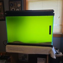 20 Gallon Tall Fish Tank