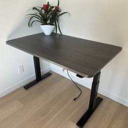 Steelcase Solo Sit Stand Power Adjustable Height Desk 