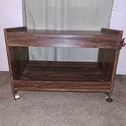 TV Stand On Rolling Casters! 