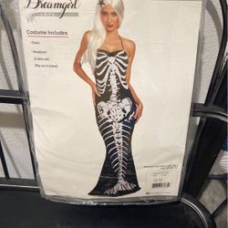Mermaid Costume 