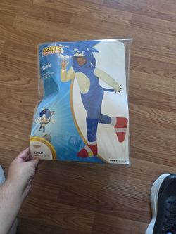 Sonic the Hedgehog Costume