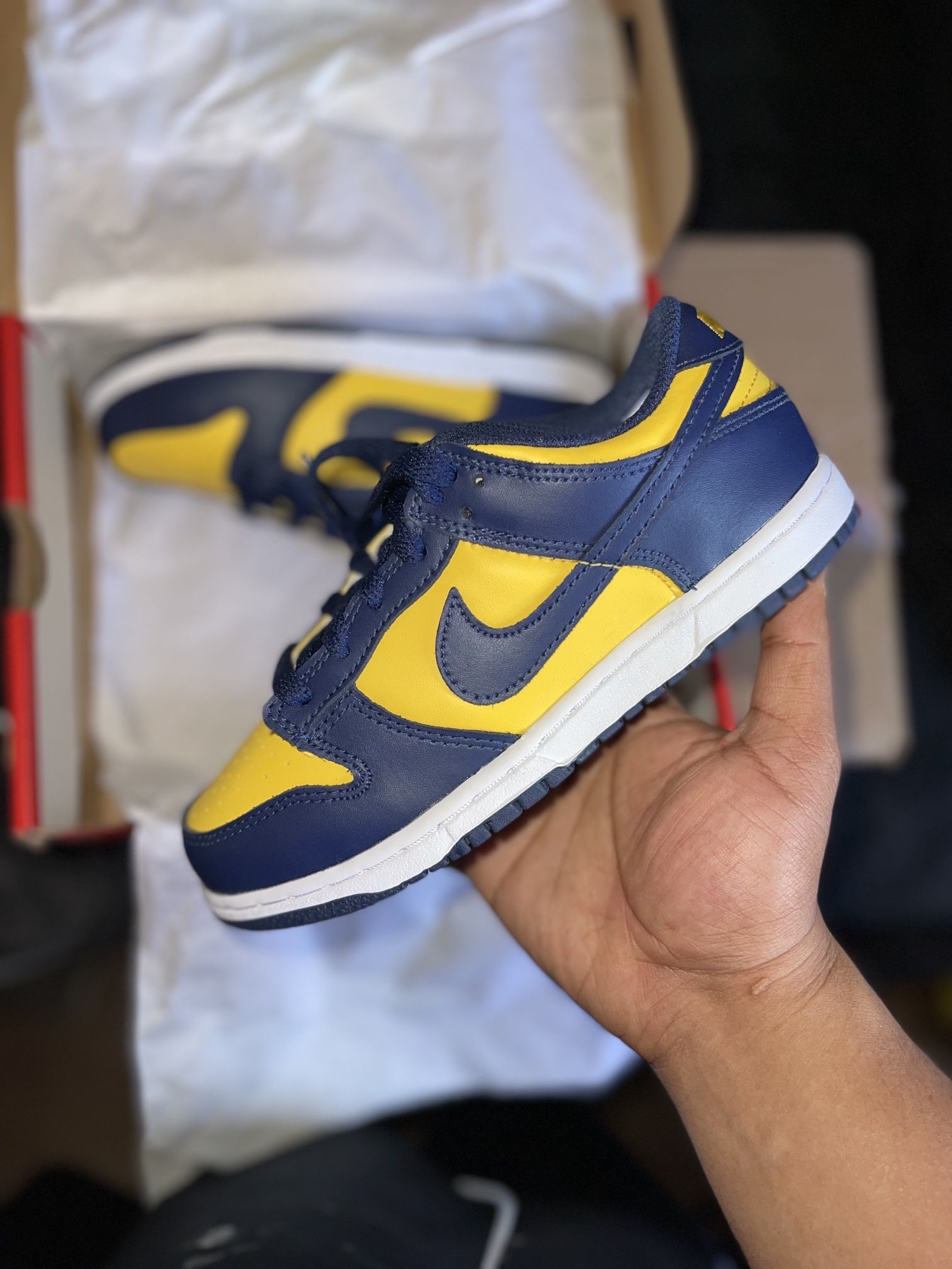 Nike Dunk Low Michigan (Ps)