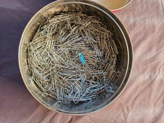 Tin of Metal Paper Clips