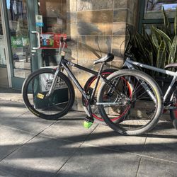 Collective Bike 29er Fixie