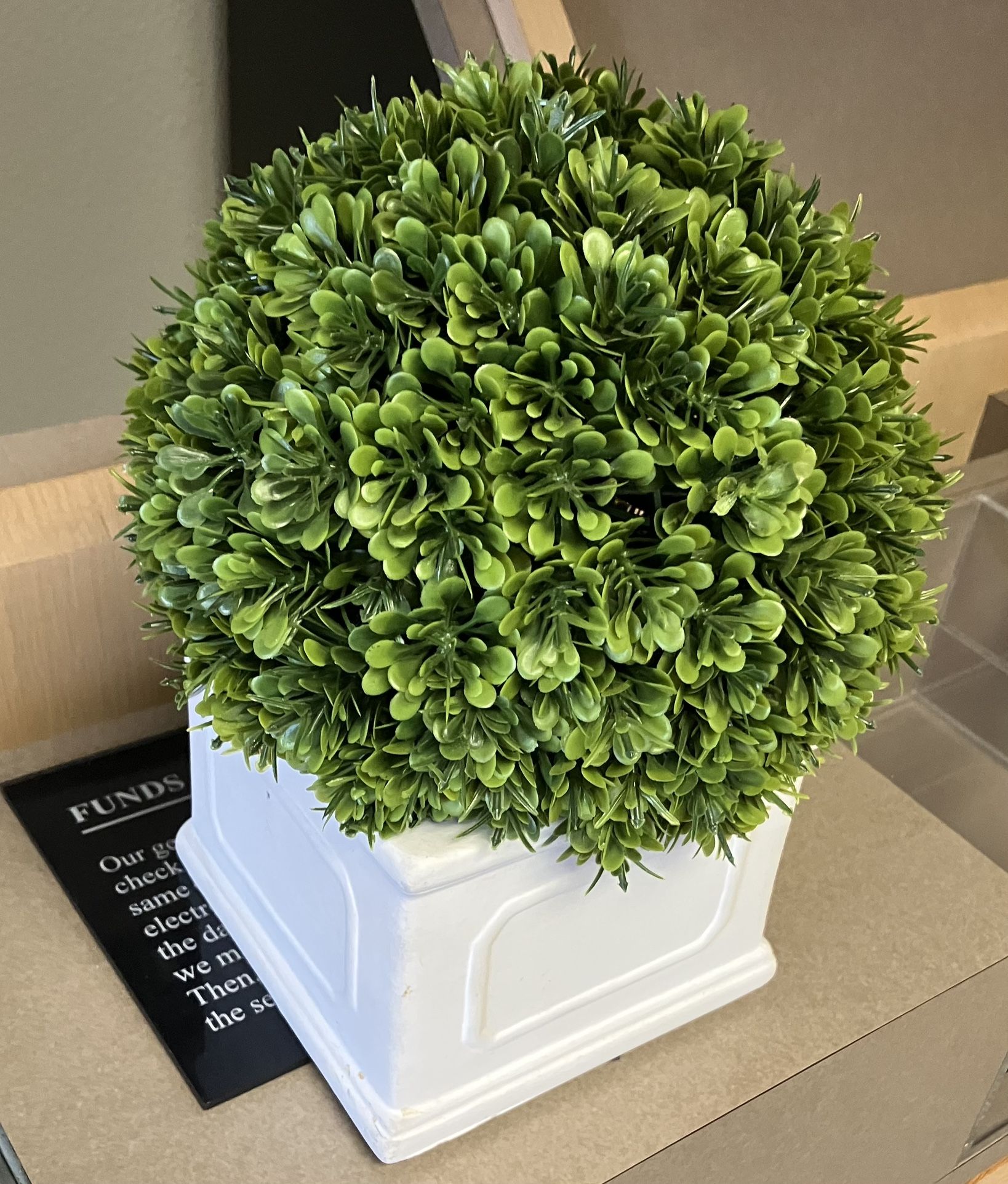 Decorational Plants