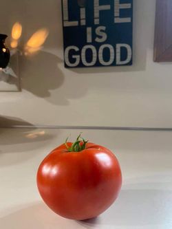 "LIFE IS GOOD" PICTURE