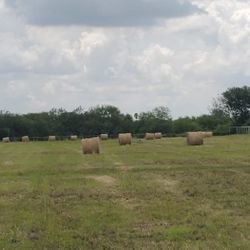 Hay bales