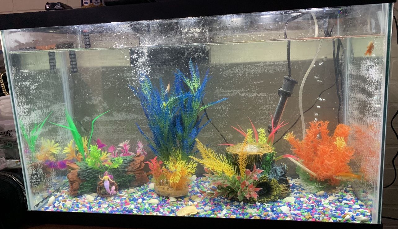 Fish Tank 20 Gallons