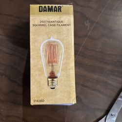 Damar Antique Light Bulbs 